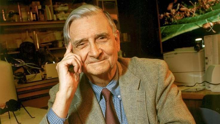 Our Inner Struggle Defines Us As Humans: Edward O. Wilson On Morality